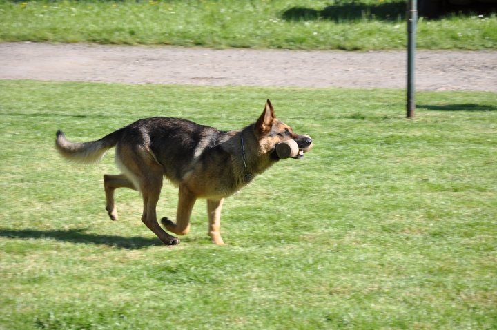 Dětský den 2010