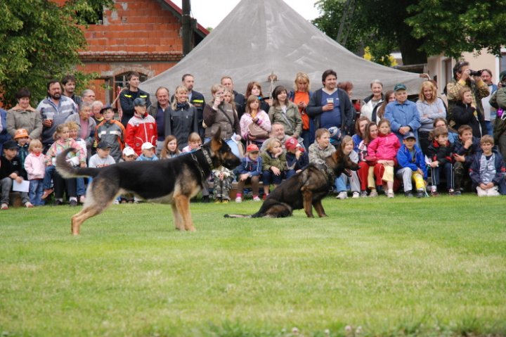 Dětský den 2009