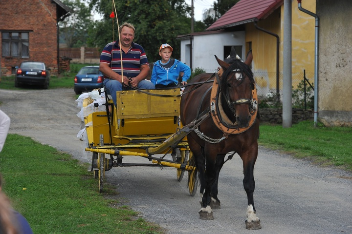 725 let od první zmínky o obci Mirošovice