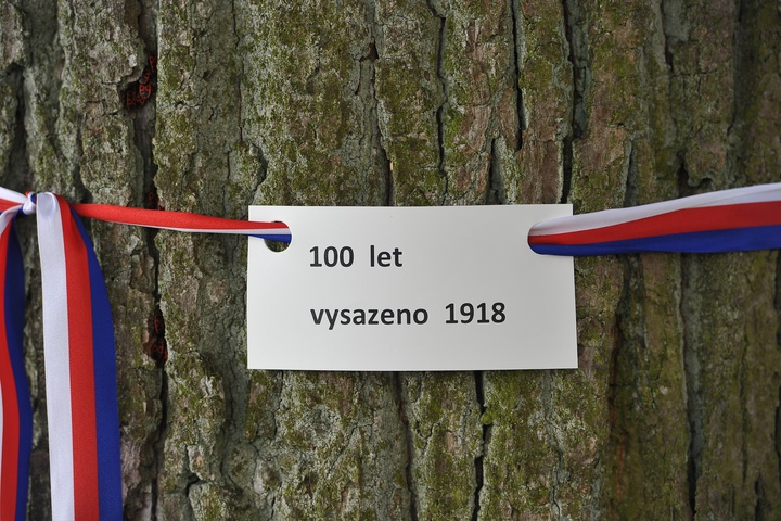 725 let od prvn&iacute; zm&iacute;nky o obci Miro&scaron;ovice